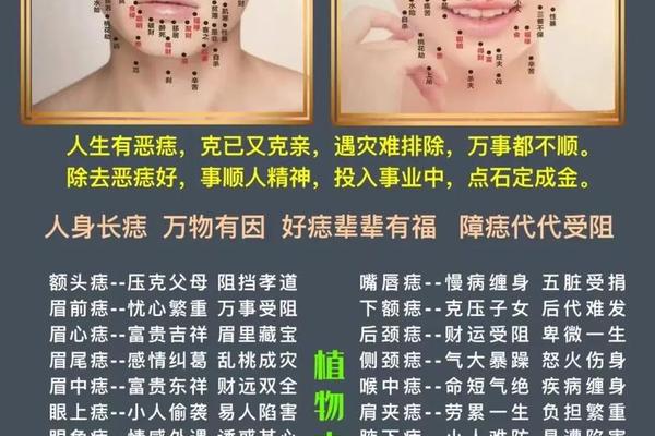 女身上痣相_女人身上痣相最准图图解意思 女身上痣相_女人身上痣相最准图图解意思