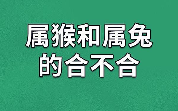 属猴和属兔的合不合婚 属猴和属兔的属相合不合 属猴和属兔的合不合婚 属猴和属兔的属相合不合