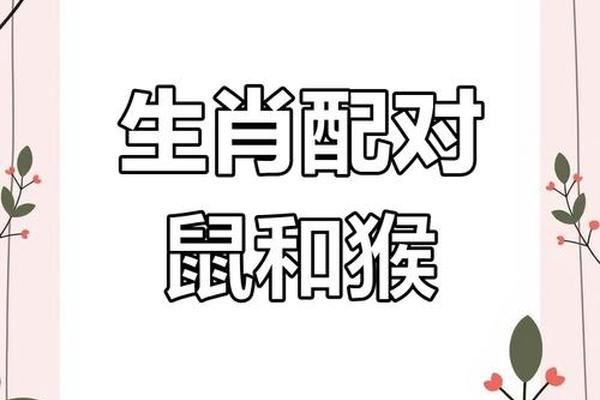 84鼠和92猴属于上等婚姻吗