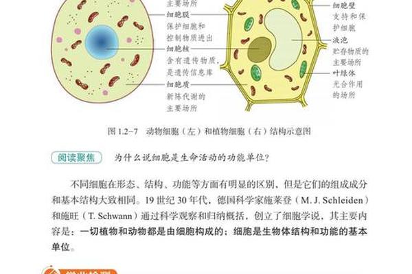 文化资源学pdf;社会学概论教材电子版