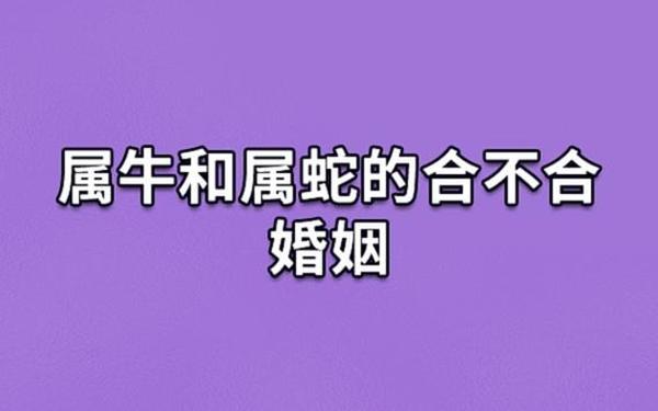属蛇男和属牛女的适合做夫妻吗 属蛇男和属牛女的适合做夫妻吗
