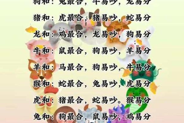 96年属鼠的真正姻缘在哪一年