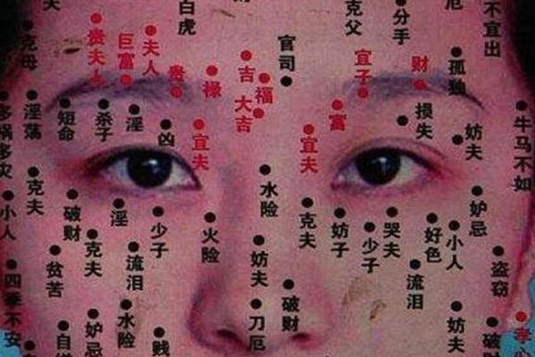 紫微斗数论痣相、田宅宫有痣的位置图