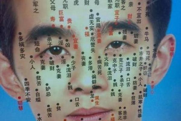 《果老星宗》痣相-痣相大全书籍