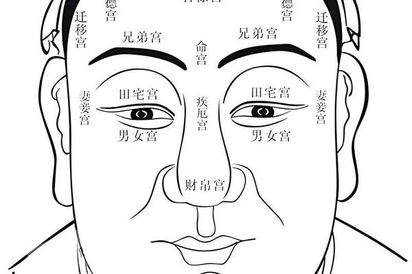 道士会看痣相吗为什么—什么面相能成为道士