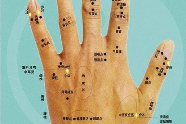 痣相女人手臂(女人右手痣相图解大全)