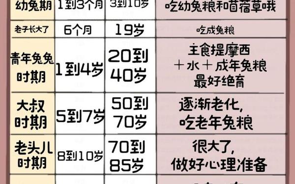 属兔的年龄表 属兔的年龄表