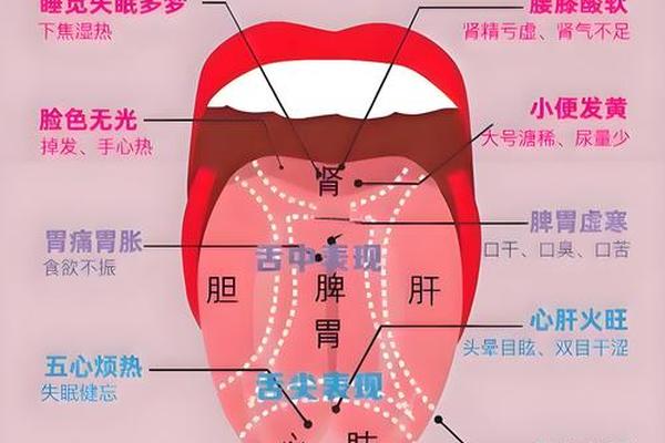 舌头长痣痣相(舌头长痣从命学解释)