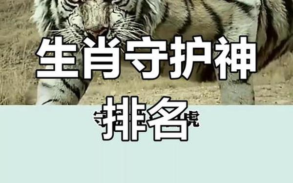 属虎的守护神生肖是哪个-属虎的生肖守护神是什么 属虎的守护神生肖是哪个-属虎的生肖守护神是什么