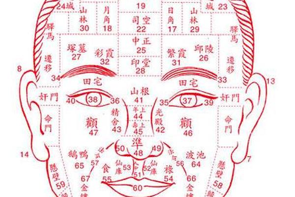 麻衣相法 泪痣(麻衣相术面痣图解) 麻衣相法 泪痣(麻衣相术面痣图解)