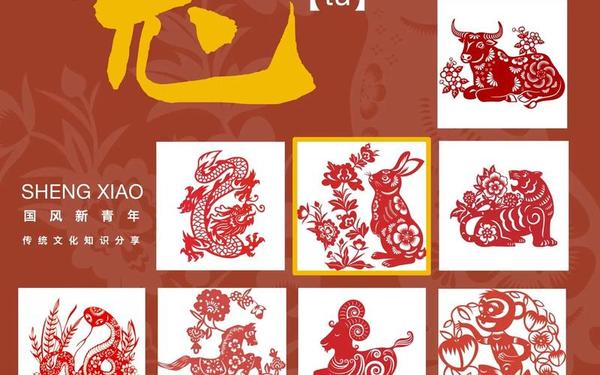 属兔的是哪年的 属兔的是哪年的