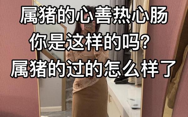 属猪的命好嘛 属猪的命好嘛