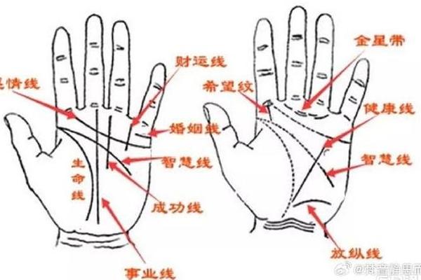 u痣相(面相与手相)
