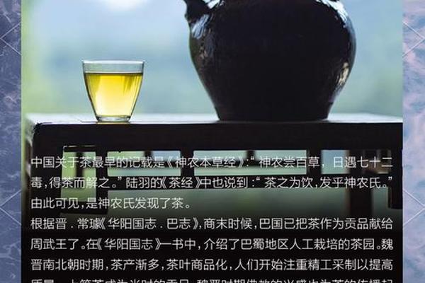 中国茶文化(中国茶文化历史)