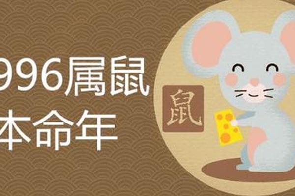 1996年正月鼠女的命运怎么样