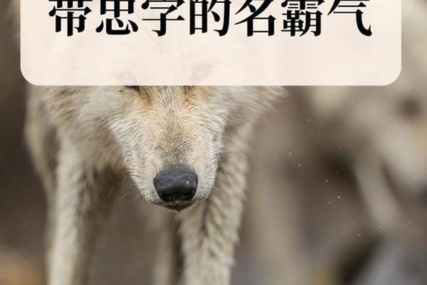 八字忠