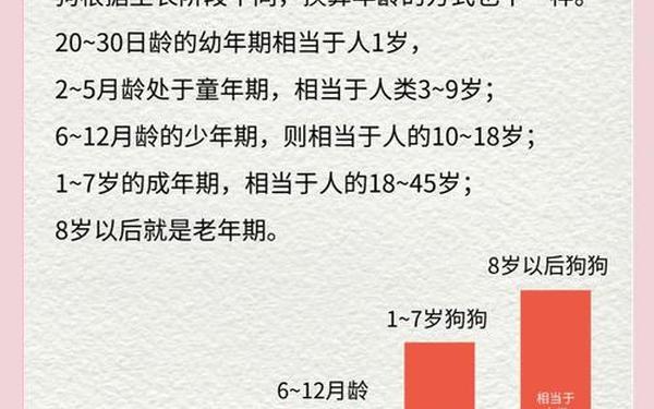 属狗今年多大年纪2021_属狗的2021年多少岁了 属狗今年多大年纪2021_属狗的2021年多少岁了