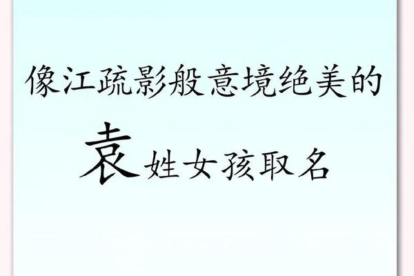 袁声笙姓名打分