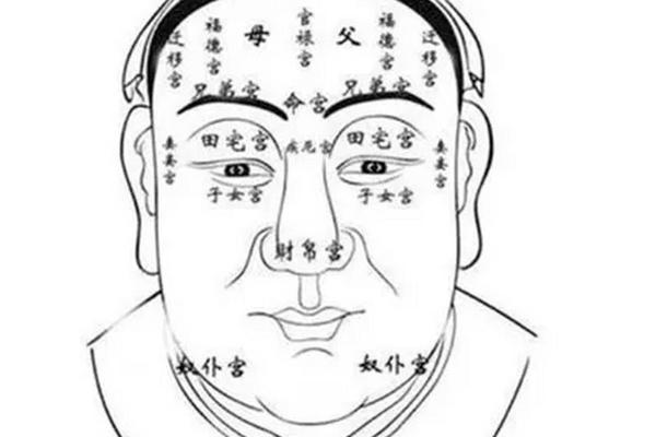 丹田痣相,男人丹田长痣
