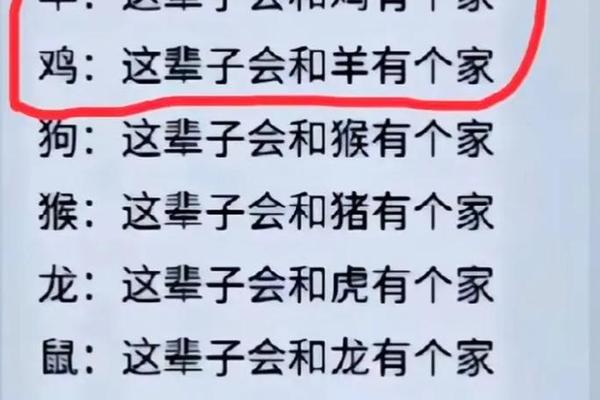 1996男鼠与1998女虎的婚姻