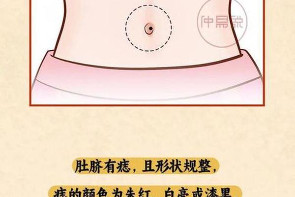 女人肚脐有痣麻衣神相(麻衣神相女人面痣图解)