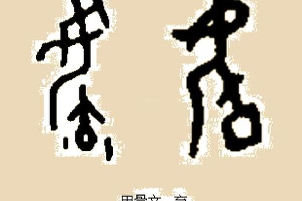 姓名里带育字