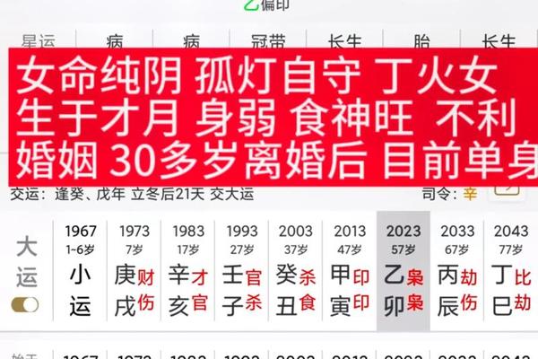 八字纯阴查询
