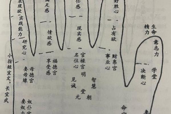 面相痣相手相哪个准_手相和面相哪个更准 面相痣相手相哪个准_手相和面相哪个更准