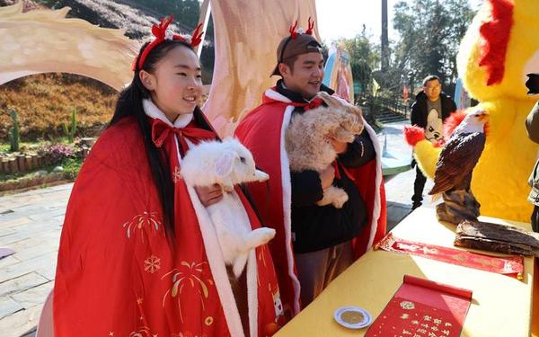 土兔和金龙可以在一起吗 土兔和金龙可以在一起吗