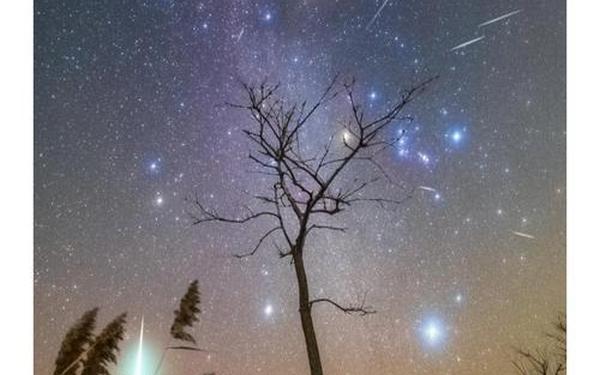 双子座流星雨绽放夜空(双子座流星雨寓意)