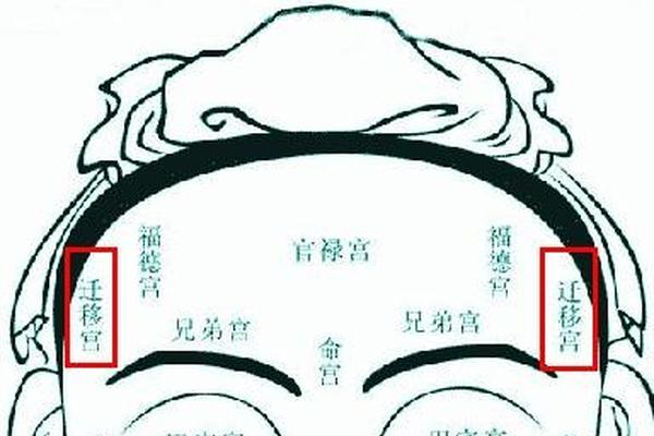 左天仓痣相、天仓痣与迁移宫痣的区别