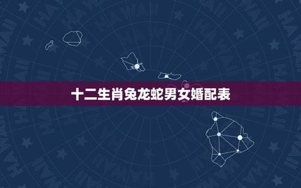 属兔与属龙相配合适吗婚姻 属兔与属龙相配合适吗婚姻