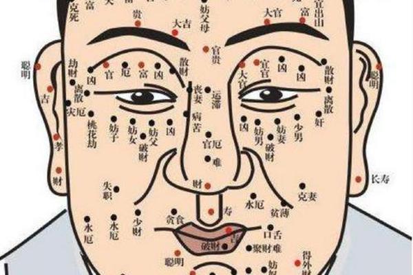 靠房地产赚钱的痣相 特别有钱的痣相 靠房地产赚钱的痣相 特别有钱的痣相