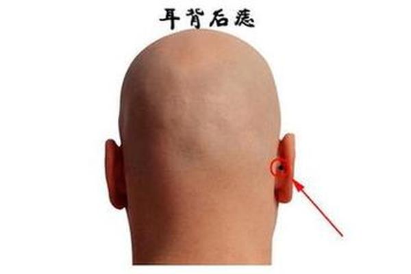 麻衣相法男人阴囊有痣 阴囊表皮长黑痣 麻衣相法男人阴囊有痣 阴囊表皮长黑痣