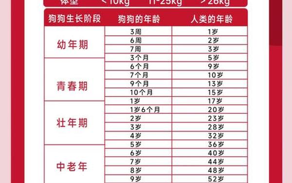 属狗的都是哪年出生的人(狗属相都是哪几年) 属狗的都是哪年出生的人(狗属相都是哪几年)