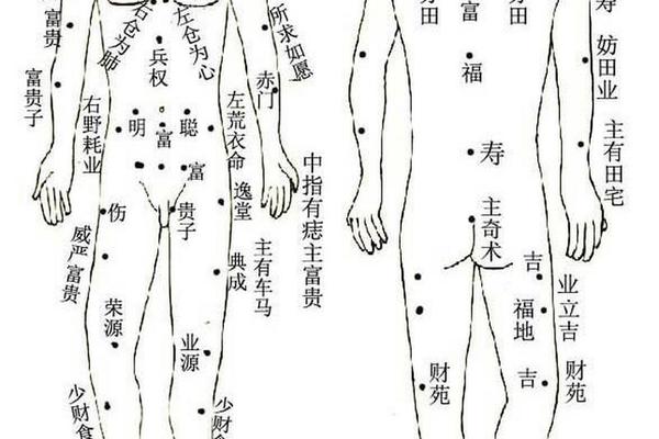 右手背痣相解说,右手手背长痣代表什么图解