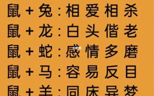 87男兔和90女马的姻缘,87男兔90女马婚姻相配吗 87男兔和90女马的姻缘,87男兔90女马婚姻相配吗