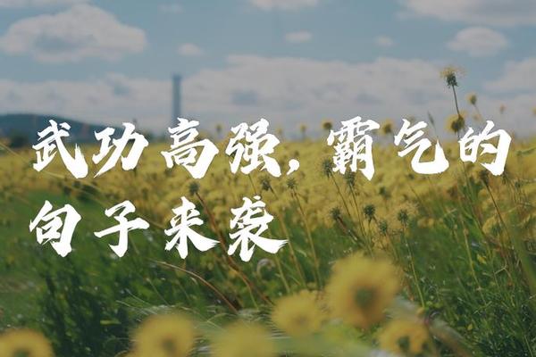 武术文化的基本精神—弘扬中华武术精神名言