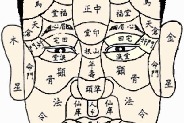 麻衣神相颧骨痣,麻衣相法大全图解痣