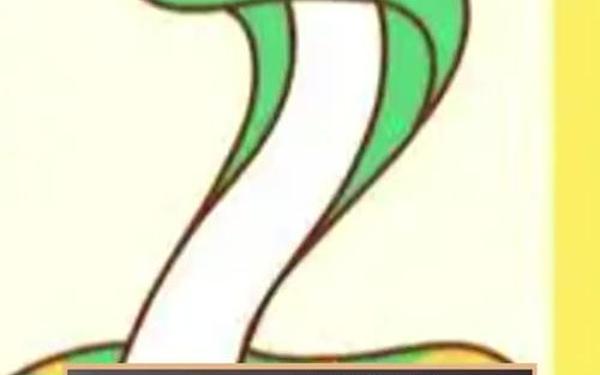 大富大贵的出生时辰蛇 大富大贵的出生时辰蛇