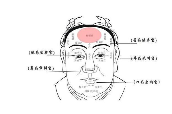 父母宫痣相,面相父母宫位置图 父母宫痣相,面相父母宫位置图
