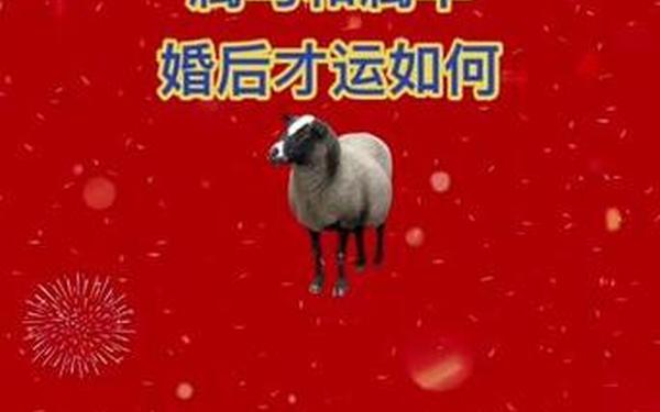 马女羊男适合做夫妻吗-女马男羊为何说是绝配 马女羊男适合做夫妻吗-女马男羊为何说是绝配
