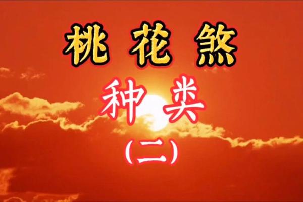 八字神煞桃花 八字神煞桃花