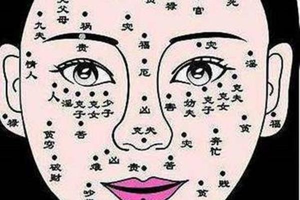 痣相女全身痣相图解(女性脸上的痣图片及全解左右)