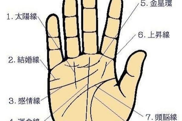手痣相大全图解-女人左手掌痣位置图解