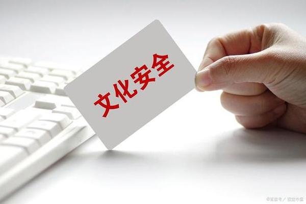 文化(文化安全主要维护)