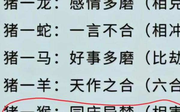 属猴的与属猪的相配吗_92猴男和95猪女姻缘 属猴的与属猪的相配吗_92猴男和95猪女姻缘