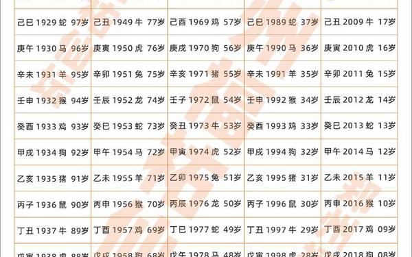 2025年十二生肖年龄表,十二生肖49码表 2025年十二生肖年龄表,十二生肖49码表