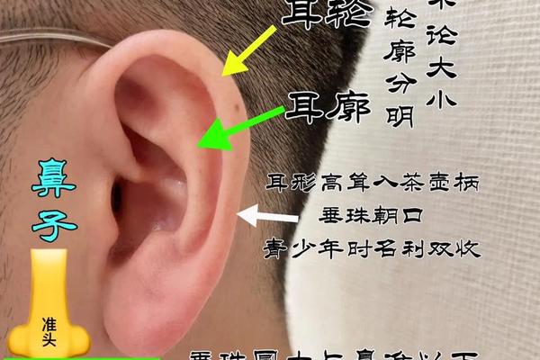 耳朵痣相的预测方法_耳朵哪里的痣有福气图