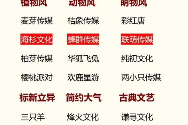 古风文化传媒公司名字;古风大气公司名